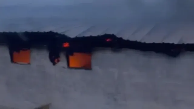 Zjarr në një stallë në Selenicë, 22 krerë gjedhë të djegur