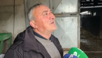 Zjarri i dogji 22 kokë gjedhë, flet fermeri nga Selenica: Kam 300 mijë euro dëme