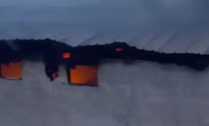 Zjarri pushon stallën në Selenicë, digjen 22 krerë gjedhë