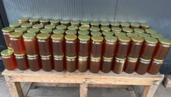 1 ton mjaltë bllokohet në Kapshticë për mungesë dokumentacioni të sigurisë ushqimore