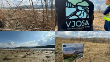 200 pika presioni rreth Vjosës, a mjafton mbjellja e disa bimëve për ta shpëtuar?!