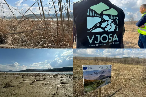 200 pika presioni rreth Vjosës, a mjafton mbjellja e disa bimëve për ta shpëtuar?!