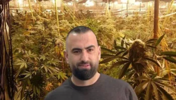 4 mijë rrënjë kanabisi në banesën e tij, lirohet drejtori i burgut të Rrogozhinës, në kërkim vëllai i tij