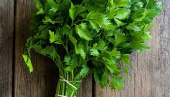 5 ushqime pranverore që ndihmojnë shumë në pastrimin e organizmit