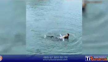 59- vjeçarja tentoi të mbytej në lumin Buna, uniformat blu të Shkodrës i shpëtojnë jetën gruas…