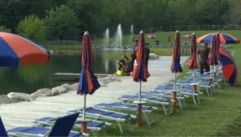 6 persona në gjyq për vdekjen e 7-vjeçares shqiptare Anisa Murati! Nuk dinte të notonte, i dhanë byzylykun me ngjyrë të gabuar dhe u mbyt në liqen