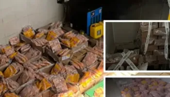 738 kg fileto pule e bllokuar! Myk e lagështirë në ambjentet ku mbahej mishi dhe djathi, AKU i vë ‘kyçin’ KMY