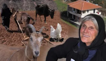 91-vjeçarja nga Spathara, Shahe Leka: Puna në fshat dhe ushqimet bio, them se do shkoj 120 vjeç