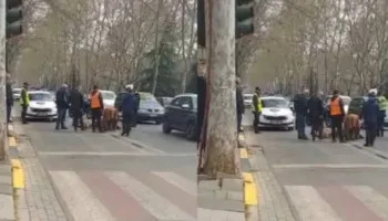 Aksident me vdekje në Tiranë, autoboti përplas gruan me biçikletë