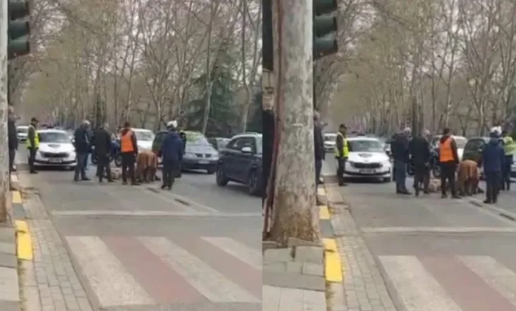 Aksident me vdekje në Tiranë, autoboti përplas gruan me biçikletë