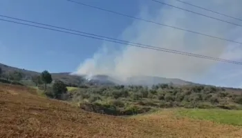 Alarm në Berat, zjarr në ullishtet e Duhanasit, po avancon drejt zonës me pisha