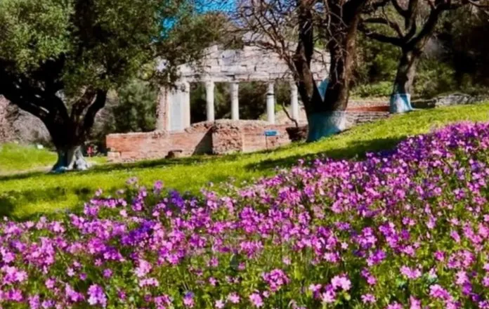 Apolonia në stinën e saj më të bukur: Pranvera mbi qytetin antik (Foto)