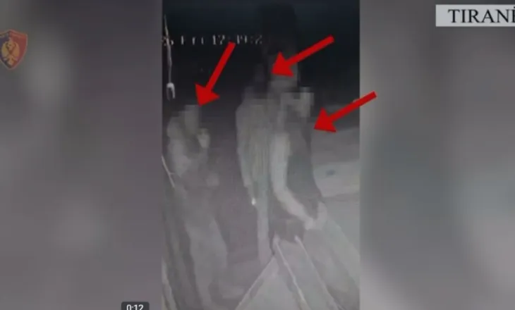 Arrestohen 5 hajdutë në Tiranë, 3 janë në kërkim