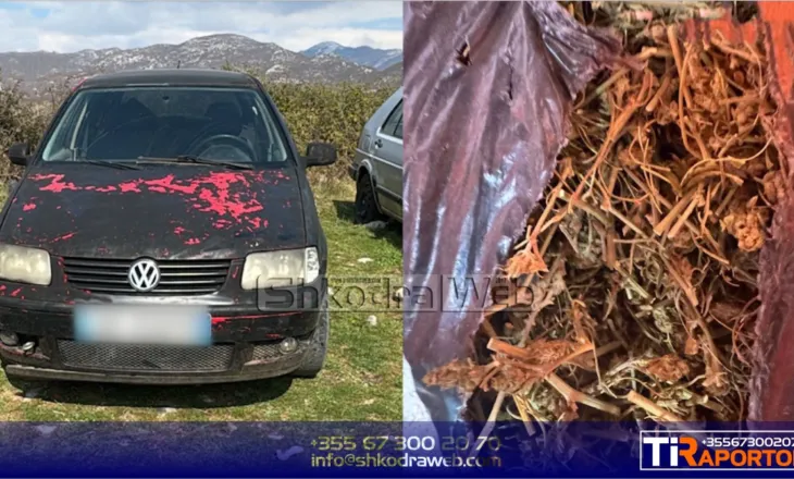 Arrestohet tre persona nga Zagora e Malësisë së Madhe për vjedhje, armëmbajtje pa leje dhe kanabis
