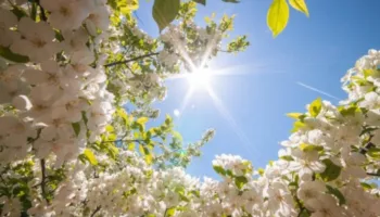 Bëhuni gati për plazh, kërcejnë temperaturat në fundjavë