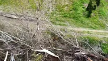 Benet Beci: Nis rehabilitimi i sistemit kullues në Reç të Velipojës, pas 30 vitesh në harresë