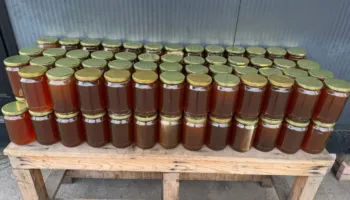 Bllokohen 1 ton mjaltë në Kapshticë, mungonte dokumentacioni i sigurisë ushqimore