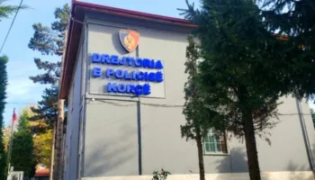 Braktisi foshnjën disa muajshe, shpallet në kërkim 40-vjeçarja nga Korça