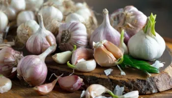 Çfarë duhet të hani për të eliminuar erën e hudhrës nga goja juaj? Ja ushqimet që ju ndihmojnë