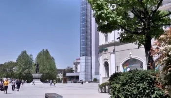 Çmimi i naftës, biznesi në Kosovë: Kurti të hartojë paketë mbështetëse