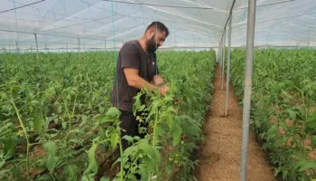 Debati për rimbursimin e fermerëve/ Ndryshimi i skemës kombëtare, opozita polemika me ministrin Salla për fondin 160 mln euro