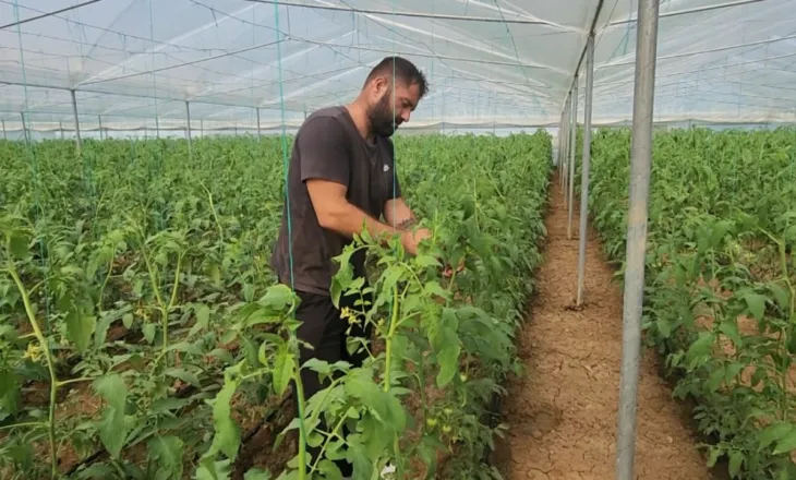 Debati për rimbursimin e fermerëve/ Ndryshimi i skemës kombëtare, opozita polemika me ministrin Salla për fondin 160 mln euro