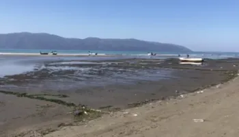 Deti në Vlorë tërhiqet 10 metra nga bregu, vështirësi për peshkatarët