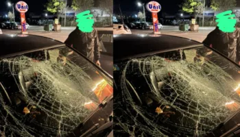 Dhunohen banorët e Rrjollit, Molla: Djali i pronarit të tokës erdhi me 15 vetë, ishin të armatosur