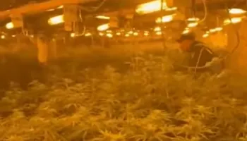 Dorëzohet në polici Bilal Hasa, drejtori i burgut të Rrogozhinës