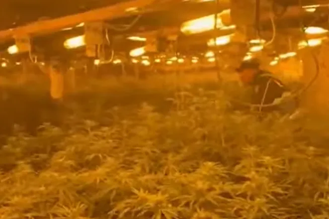 Dorëzohet në polici Bilal Hasa, drejtori i burgut të Rrogozhinës