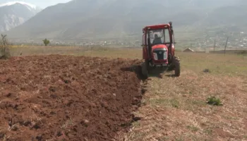 “Duhen më shumë subvencione për bujqësinë”, ekspertja: Rritja e naftës mund të ndikojë në inflacion