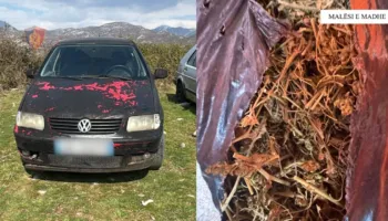 Dy makina të grabitura në Malësi të Madhe, pranga 22-vjeçarit. Arrestohen xhaxhallarët tij për drogë dhe armëmbajtje pa leje
