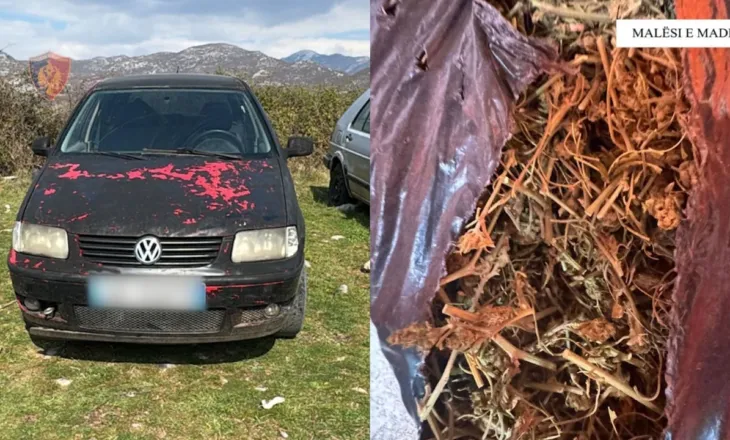 Dy makina të grabitura në Malësi të Madhe, pranga 22-vjeçarit. Arrestohen xhaxhallarët tij për drogë dhe armëmbajtje pa leje