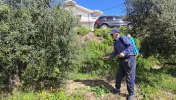 Dyfishohet çmimi i pesticideve, ankohen fermerët në Fier: Kostot janë rritur shumë në krahasim me një vit më parë