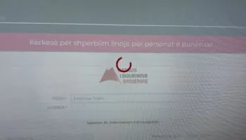 E-Albania xhiron bosh: Bizneset e kalojnë ditën e pushimit me “shtetin online, që nuk punon”