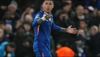 E bujshme/ Enzo Fernandez mund të largohet nga Chelsea