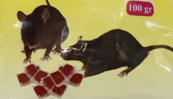 E moshuara me aftësi të kufizuara/ Shiqiptarja tenton të vrasë vjehrrën me helm minjsh