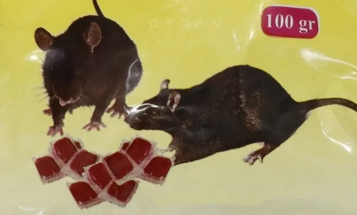 E moshuara me aftësi të kufizuara/ Shiqiptarja tenton të vrasë vjehrrën me helm minjsh