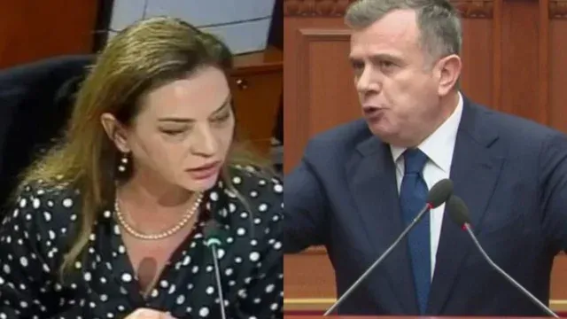 “E papranueshme”/ Oganizatat ndërkombëtare: Dënojmë deklaratën e Taulant Ballës ndaj Albana Vokshit në Kuvend