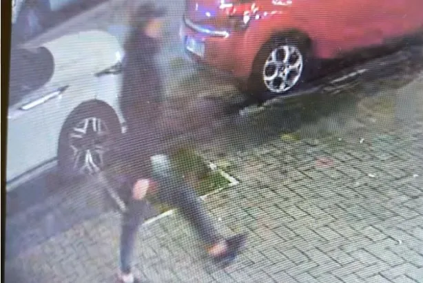 E rëndë/ Grabiste vilat, dënohet ‘skifteri’ shqiptar në Itali, dy shokët e tij sulmuan karabinierin në krye të detyrës