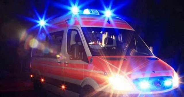 E rëndë në Pogradec, 10-vjeçarja sulmohet nga qeni i fqinjit, e tërheq zvarrë për disa metra