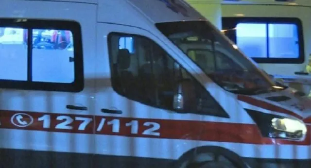 E rëndë/ Qeni kafshon 10-vjeçaren dhe e tërheq zvarrë për disa metra