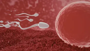 Ejakulimi më i shpeshtë mund të përmirësojë pjellorinë mashkullore