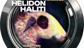 Ekspozita “Mish dhie”, një reflektim mbi paragjykimet dhe perceptimet