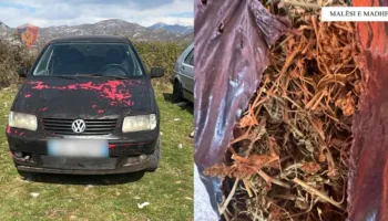 EMRAT/ Vodhi 2 automjete, arrestohet 22-vjeçari në Malësinë e Madhe! Në pranga edhe 2 xhaxhallarët e tij, iu gjetën në banesë çifte dhe drogë