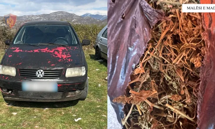 EMRAT/ Vodhi 2 automjete, arrestohet 22-vjeçari në Malësinë e Madhe! Në pranga edhe 2 xhaxhallarët e tij, iu gjetën në banesë çifte dhe drogë