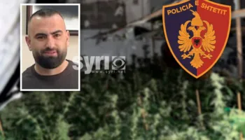 EMRI + FOTO/ Drejtori i burgut të Rrogozhinës ktheu banesën në shtëpi bari, i gjejnë 4 mijë rrënjë kanabis! Arratiset