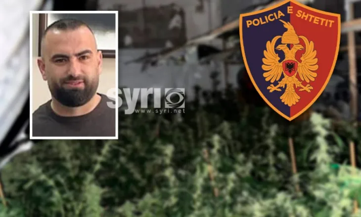 EMRI + FOTO/ Drejtori i burgut të Rrogozhinës ktheu banesën në shtëpi bari, i gjejnë 4 mijë rrënjë kanabis! Arratiset