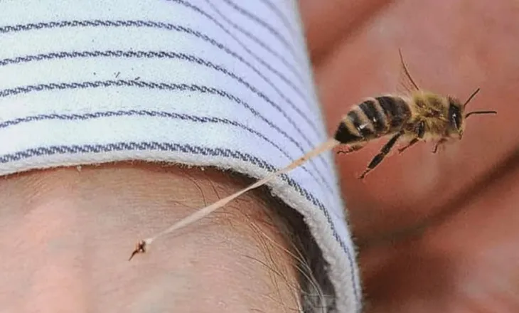 EMRI-FOTO/ U pickua nga bleta, humb jetën alpinisti në Greqi