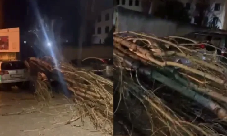 Era e fortë në Vlorë rrëzon pemë dhe dëmton murin e shkollës…